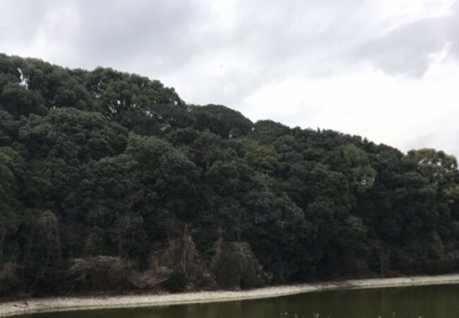 白鳥陵古墳 クチコミ アクセス 営業時間 富田林 羽曳野 フォートラベル 白鳥陵古墳 クチコミ アクセス 営業時間 富田林 羽曳野 フォートラベル