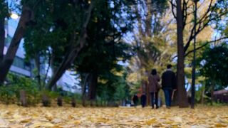 四季折々の草木が美しい公園