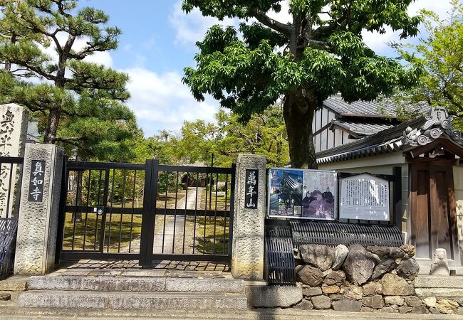如意 桑材？ あっ 京都の古寺から 0922V7G