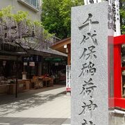 赤い鳥居と藤の花