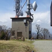 私のお勧めは、ケーブルで阿夫利神社下社へ、大山へ登頂、女坂を使って下るコースです。