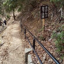 数日前に降った雨で山道は滑りやすかったです。