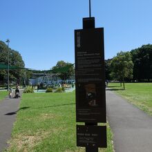 コンプレックス周辺は芝生広場で児童公園も有ります