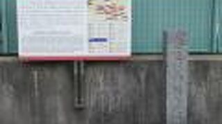 薩摩藩ひとすじ愛していたのね