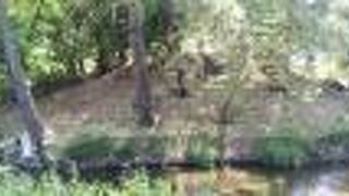 仁徳天皇陵の陪冢