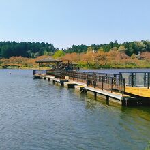 沼には１８８ｍの浮き桟橋あり、対岸に渡る事が出来ます