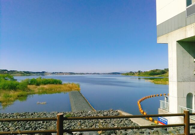 長沼 宮城県登米市 クチコミ アクセス 営業時間 南三陸 登米 フォートラベル