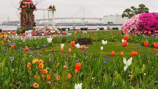 花が綺麗な公園