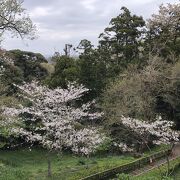 自然に親しめる公園