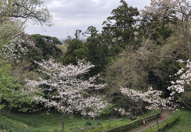 自然に親しめる公園