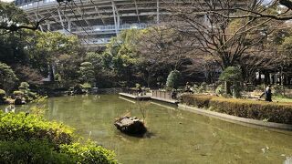 チューリップの名所