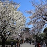 関東で最も古い五重塔になります