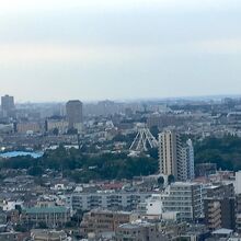 フライングパイレーツ