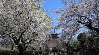 関東で最も古い五重塔になります