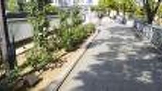 淀屋橋から肥後橋までの緑道