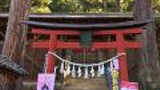 歴史ある八幡様、狛犬は必見です