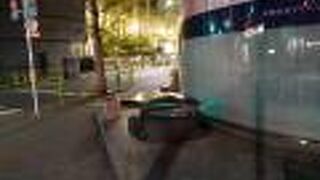 あやつり人形と鯨のヒゲ