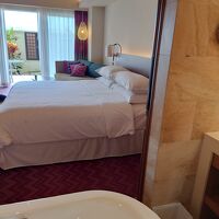 プレミアムラナイルーム：バスルームから庭まで