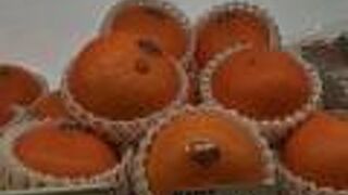 紅マドンナが美味しかったです