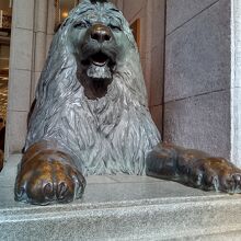 手足と鼻がピッカピカのライオン