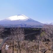 雪がない