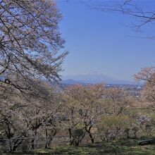 城山公園