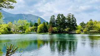 温かい湖に泳ぐ魚達に驚き！