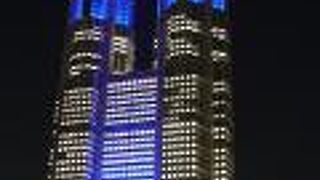 夜空に美しく浮かび上がっていました