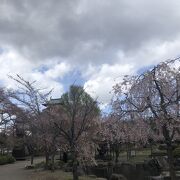 桜の名所でした、駐車場は若干狭いですが近くの市役所の駐車場を使うことができて、お勧めします