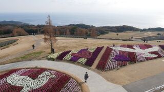 冬は花は少なめ