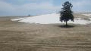 美瑛のような風情を富良野で味わえます