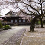 桜と建物のコラボが見事でした