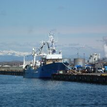 残雪の阿寒岳連峰が観えます