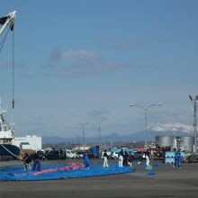 網を準備する漁師さん達