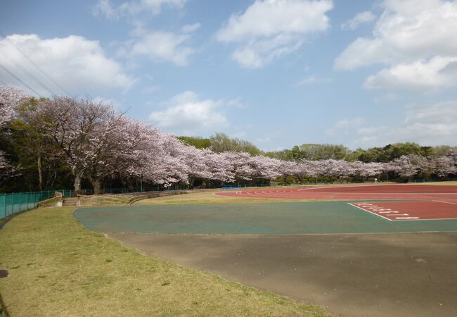 船橋市運動公園 クチコミ アクセス 営業時間 船橋 習志野 フォートラベル 船橋市運動公園 クチコミ アクセス 営業時間 船橋 習志野 フォートラベル