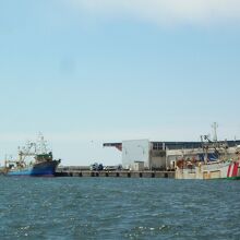 穏やかな漁港のひととき