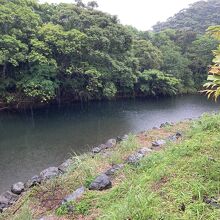 遊歩道も整備されてます（本日は雨）