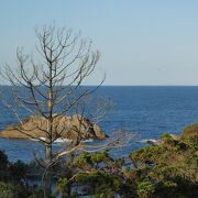 宮城の松島のような内海的雰囲気はあまりないです。