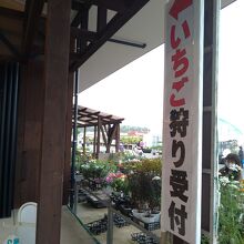 いちご狩りもやってます