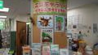 パンフレットが置いてあるだけでした