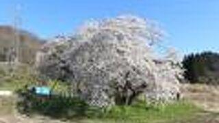 訪問客は多く警備員の方もいらっしゃいましたが・・・