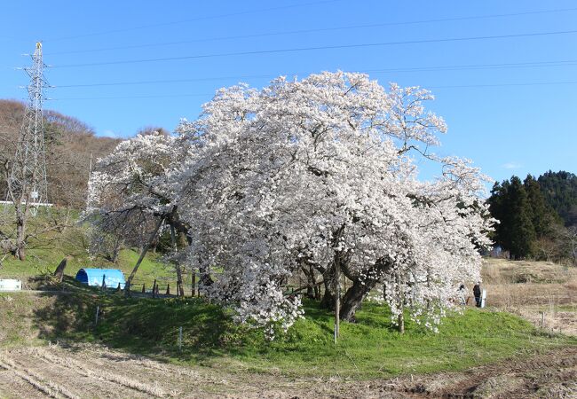 訪問客は多く警備員の方もいらっしゃいましたが・・・