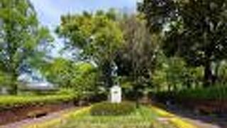 緑の多い公園です。