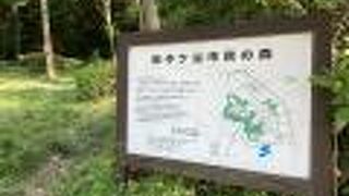 大きい大きい公園です