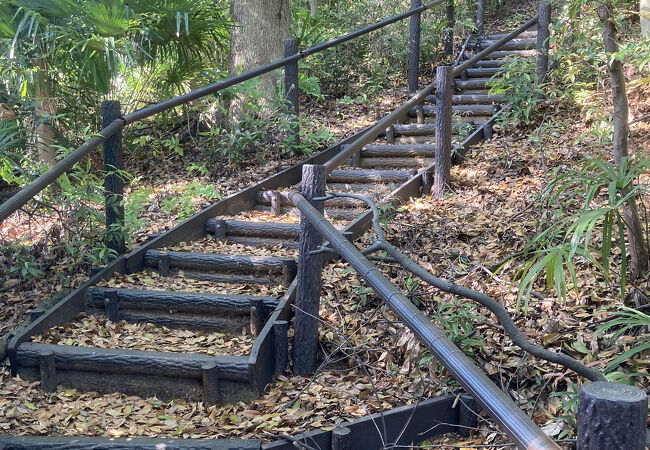 熊野神社市民の森