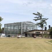 青島神社とセットで観光