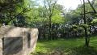 わかりにくい城跡でした