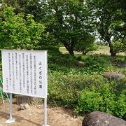 田畑の中の公園