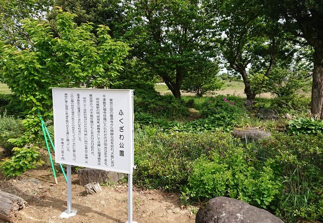 田畑の中の公園