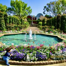 チューリップが綺麗だった